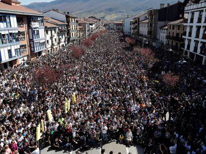 Manifestación de hoy en Alsasua.