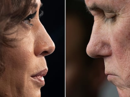 (COMBO) This combination of pictures created on October 6, 2020 shows Democratic vice presidential candidate Kamala Harris on June 27, 2019 and US Vice President Mike Pence on March 15, 2020. - Harris hopes to deploy her former prosecutor's repertoire against Pence on October 7, 2020, during the only televised debate between the candidates for the vice-president of the United States. (Photos by SAUL LOEB and JIM WATSON / AFP)