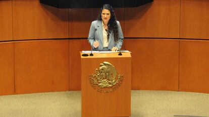 Bertha Maria Alcalde Lujan, durante su comparecencia ante el pleno del Senado, el 29 de noviembre.