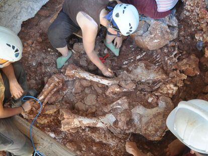 Imagen de los arque&oacute;logos trabajando sobre los huesos hallados del elefante en la cueva del Rinoceronte.