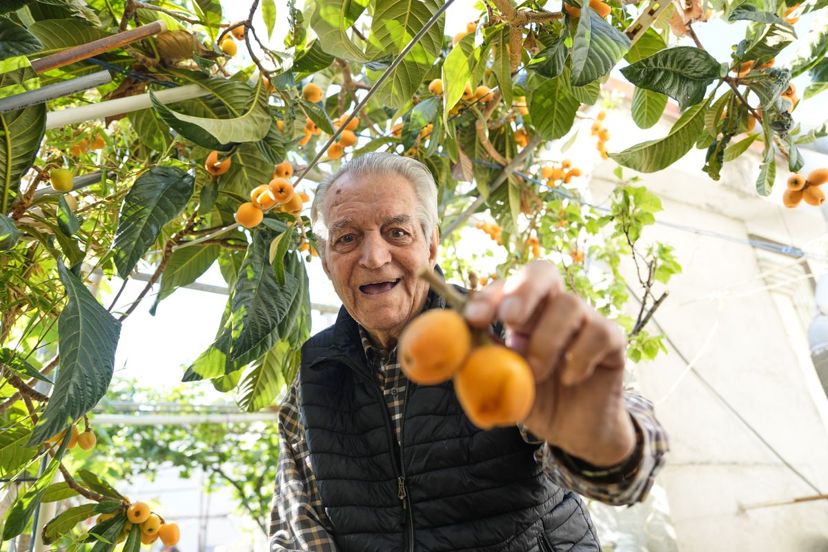 The grandfather of Barcelona’s urban gardens: “Fruit trees should fill the streets of our cities” |  Catalonia