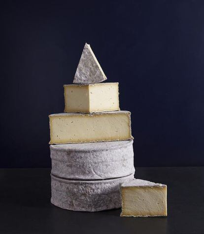 El queso Gorwydd Caerphilly de la quesería británica Trethowan’s Dairy se alzó con otro galardón, después de conseguir el cuarto puesto con el Cheddar Pitchfork.