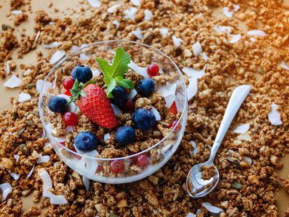 Algunos alimentos como el yogur incrementan la diversidad de las bacterias del intestino
