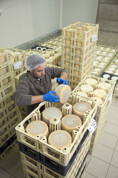 Un empleado de Alimentos de Miraflores voltea un queso en la cámara de secado