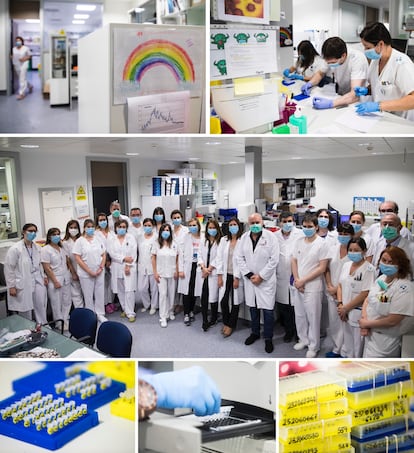 Departamento de virología del HUCA, donde se ha hecho un rastreo de la población para contener la enfermedad.