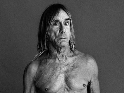 ‘I Wanna Be Your Dog’: la sumisión llegó al rock con The Stooges