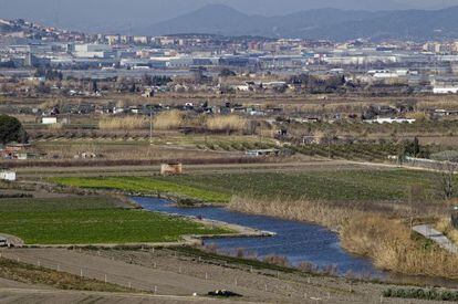 Los terrenos agrícolas al entorno del Llobregat destinados para edificar Eurovegas.