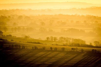 Árboles generan enormes sombras entre la bruma y la niebla en un valle de Mendip Hills, suroeste de Ingalerra.