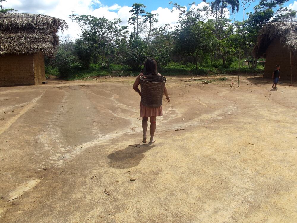 Mujer sanöma, en la región del río Auaris, preparándose para ir a la labranza.