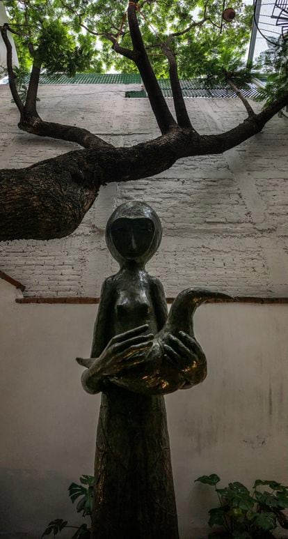 "Mujer, con, paloma"  en el jardín principal. 
