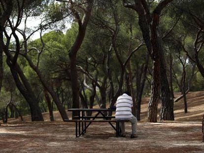 Un hombre de espaldas sentado en una mesa del parque de la Dehesa de la Villa.