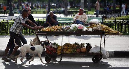 Dos hombres por las calles de La Habana