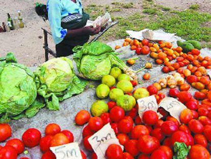 El kilo de tomates se vendía a millones de dólares el pasado miércoles en Harare.