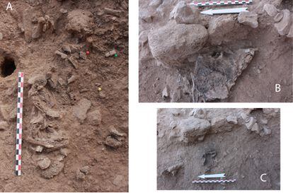 Restos del cadáver hallado quemado en Beisamoun. A la izquierda, restos de costillas y vertebras expuestos en medio de la estructura. Arriba a la derecha, el coxal derecho conservado casi completo y abajo, cuatro falanges del pie derecho.