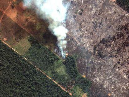 El presidente brasileño da marcha atrás y reconoce su responsabilidad en la gestión de los incendios que han consumido 20.000 hectáreas de selva