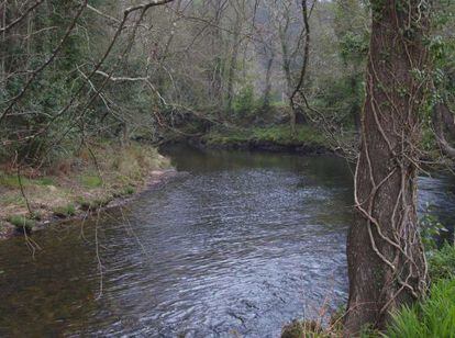 El río Landro, Lugar de Importancia Comunitaria situado en el término municipal de Viveiro, en A Mariña. / ANXO IGLESIAS