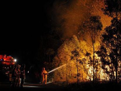 Un equipo de bomberos trata de extinguir un incencio en Springwood, al oeste de Sidney (Australia), en 2013.