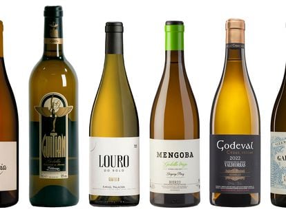 Seis vinos prodigiosos blancos de godello por menos de 20 euros