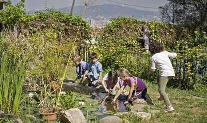 Un grupo de niños juega en el estanque que tiene la Escola de Bosc en el patio.