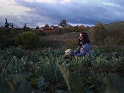 Bolonia: de la granja a la mesa