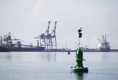 Un pelícano en el puerto de Lázaro Cárdenas, México.