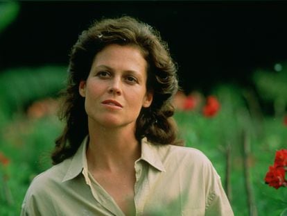 American actress Sigourney Weaver as naturalist Dian Fossey in the film 'Gorillas in the Mist', 1988.  (Photo by Murray Close/Getty Images)