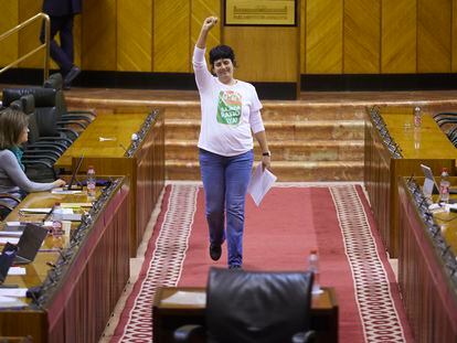 La portavoz de la plataforma Bajada de Ratio Ya, Carmen Yuste, interviene en el Parlamento de Andalucía para defender la iniciativa legislativa popular para la bajada de ratio en las aulas por ley.