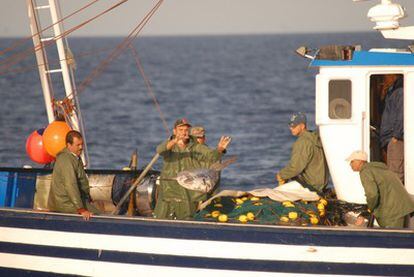 La tripulación de un pesquero marroquí arroja al mar un pez luna capturado accidentalmente en el Mar de Alborán en 2006.