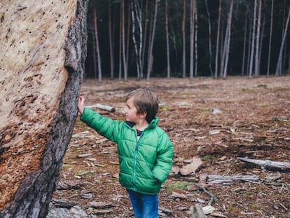 A los niños también les preocupa el cambio climático. 