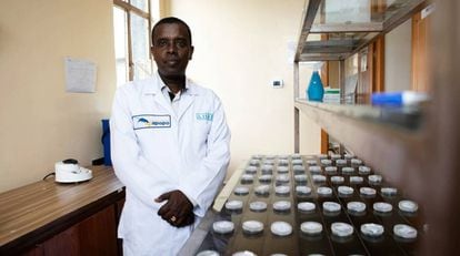 Negussie Beyene ya ha trabajado para Apopo en Tanzania y Mozambique. Actualmente dirige el laboratorio de Adís Abeba. 