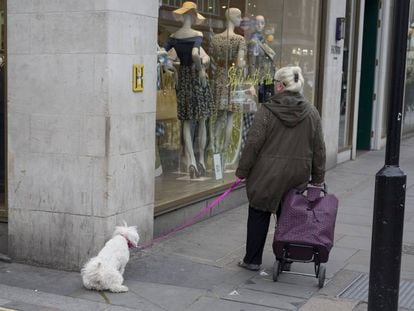 Un perro orina en la esquina de una calle, en una imagen de archivo.