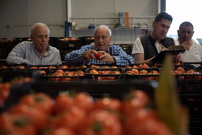 Unos hombres examinaban tomates el 25 de mayo en la alhóndiga de Mazarrón (Murcia).