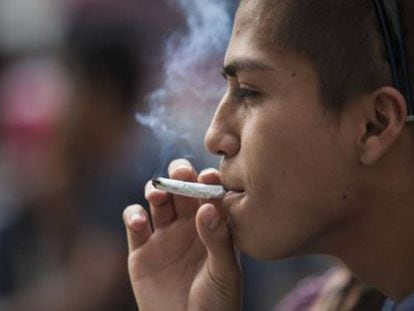 Fumadores de marihuana frente al Senado mexicano.