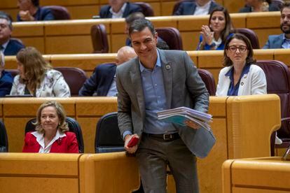 Pedro Sánchez, este martes en el Senado.