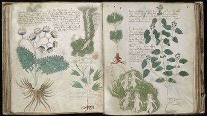 Imágenes del 'Códice Voynich'.