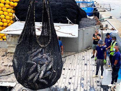 Marineros del Jai Alai sacan una red con atún listado pescado en el Índico para trasladarla a una fábrica de conservas de la isla. 