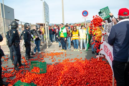 Agricultores arrojan tomates durante la concentración prevista en el puerto de Motril (Granada).