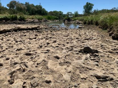 La sequía deja ver tramos del lecho del Guadiamar, el río que provee a Doñana.