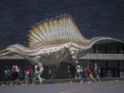 La exposición Spinosaurus, el gigante perdido del cretácico.