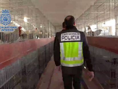 La Policía Nacional desarticula en Alicante un laboratorio clandestino con capacidad para producir 600 kilogramos de cocaína al mes.