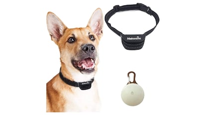 Collar con luz nocturna.