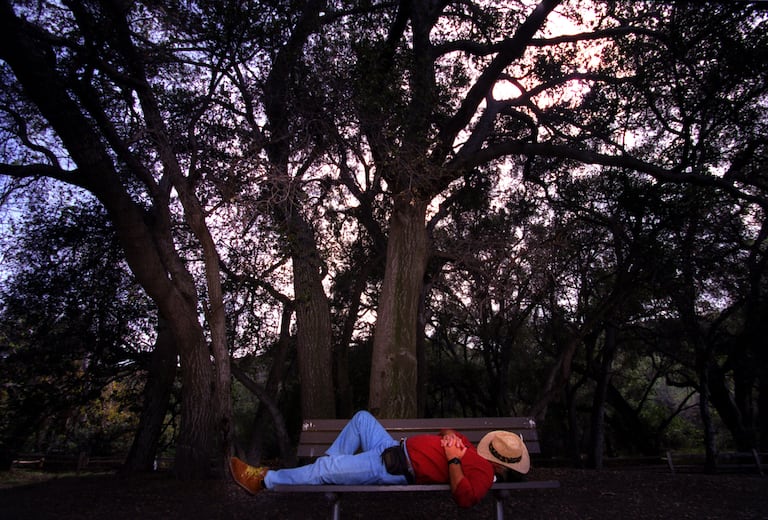 La siesta, el invento español más exportado tras la fregona: un hombre disfruta de una a la sombra de los árboles en un parque de California.