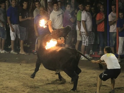 Bous al carrer en Nules (Castellón) el pasado verano.