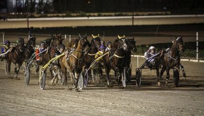 Carrera de caballos en el hipódromo de Son Pardo en Palma de Mallorca.