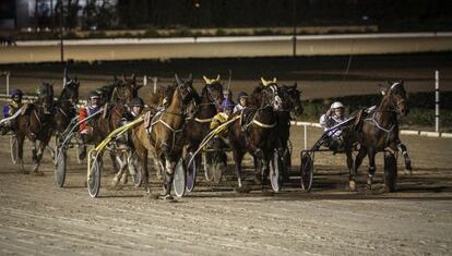 Carrera de caballos en el hip&oacute;dromo de Son Pardo en Palma de Mallorca. 