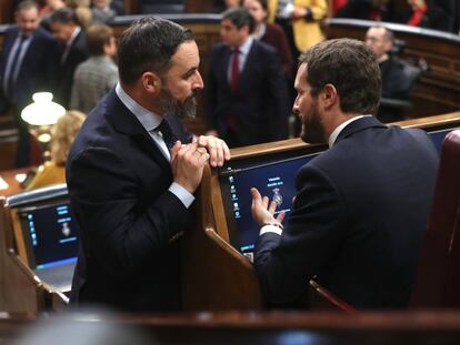 El presidente del Partido Popular, Pablo Casado (derecha) y el líder de Vox, Santiago Abascal, conversan en el Congreso.