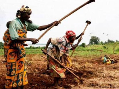Campesinas trabajando en una zona rural de Burundi / DW