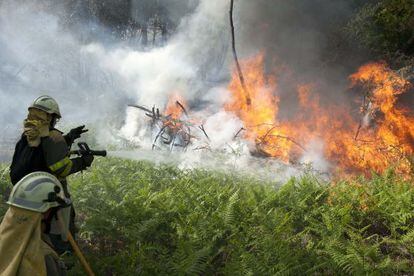 Brigadistas luchando contra el fuego