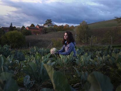 Bolonia: de la granja a la mesa