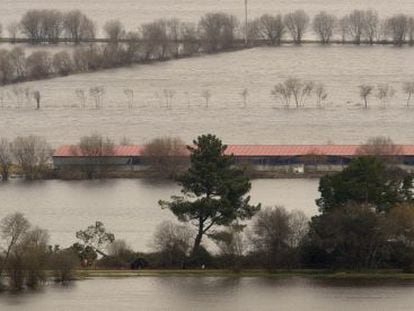 Tierras inundadas junto a una granja, esta semana en A Limia (Ourense